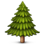 :evergreen_tree: :evergreen_tree:
