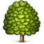 :deciduous_tree: :deciduous_tree: